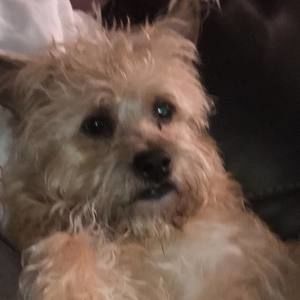 Meet your Posher, Starla